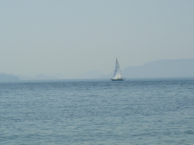 DSC00460