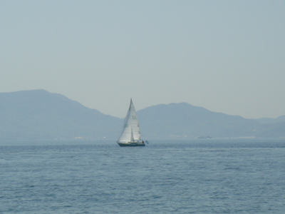 DSC00461
