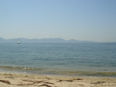 DSC00462