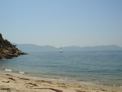 DSC00463