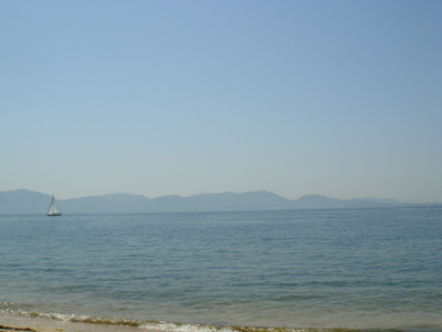 DSC00464