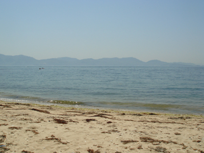 DSC00465