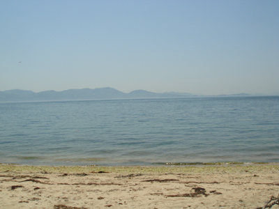 DSC00467