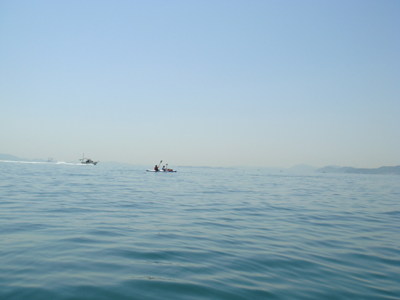 DSC00481