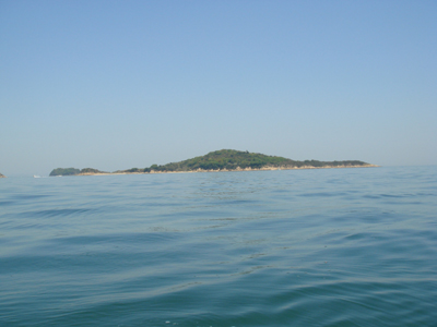 DSC00491