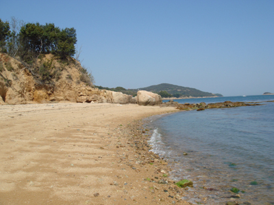 DSC00500
