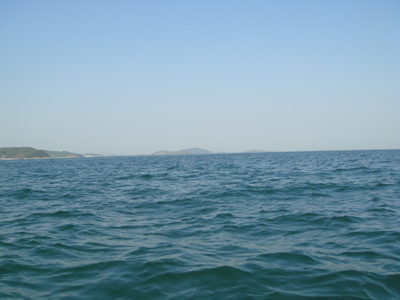 DSC00510