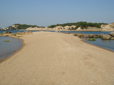 DSC00515