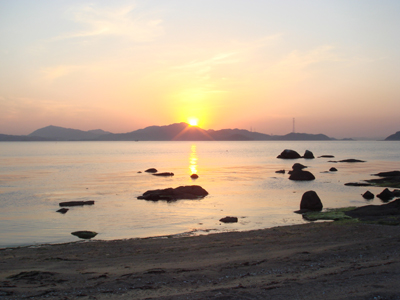 DSC00531