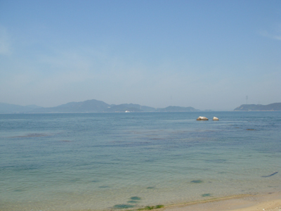 DSC00535