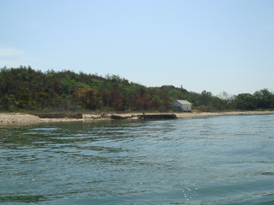 DSC00541