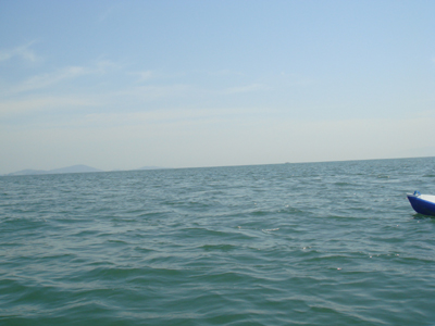 DSC00543