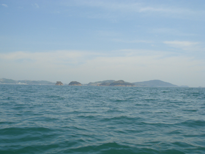 DSC00547