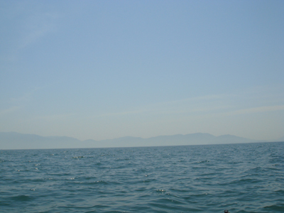 DSC00549