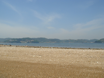 DSC00553