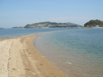 DSC00554