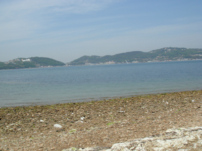 DSC00556