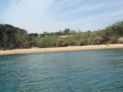DSC00558