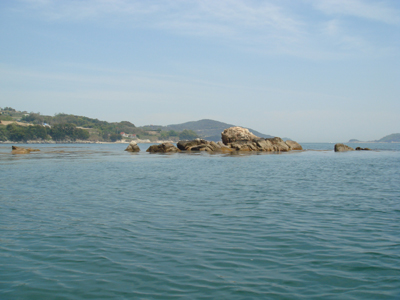 DSC00560