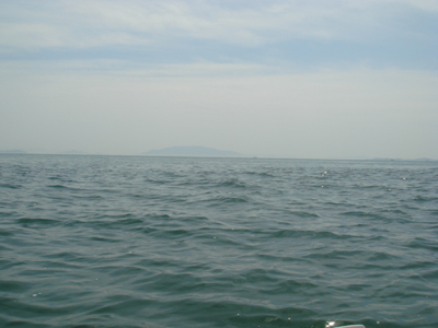 DSC00565
