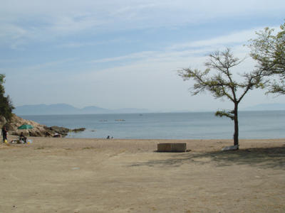 DSC00569
