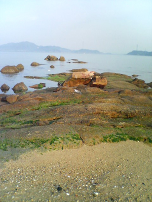 Low Tide