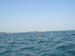 DSC00505
