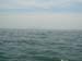 DSC00565
