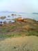 Low Tide