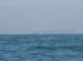 sep9_172m
