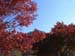 sser-P1130153[1]