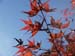 sser-PB108715[1]