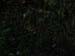 sser-PB108871[1]
