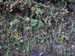 sser-PB108872[1]