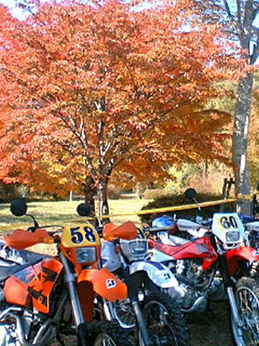 sser-071110_125401[1]