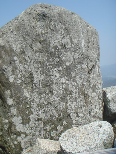 ap3_22
