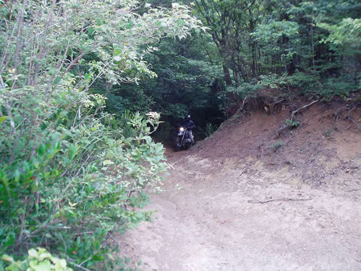 P7090015