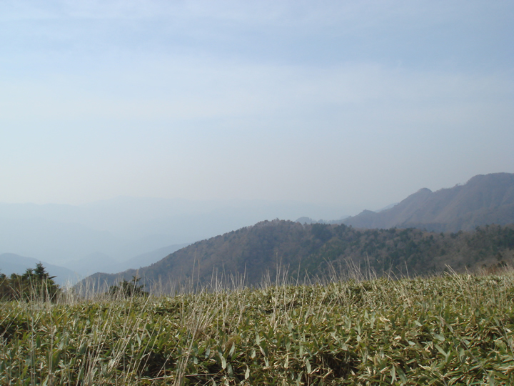 shi2-06